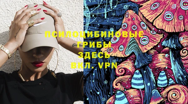 спиды Кукмор