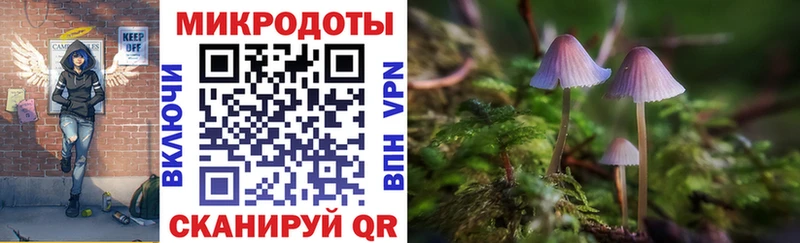 KRAKEN ссылки  Курлово  Галлюциногенные грибы GOLDEN TEACHER 
