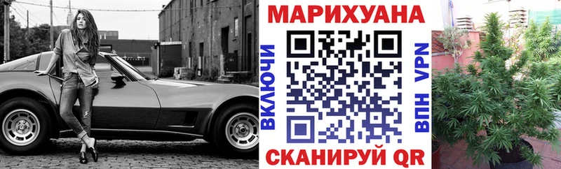 как найти   Курлово  Канабис Ganja 